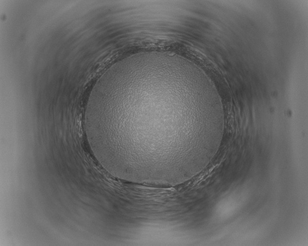 X0000075341013200609251006