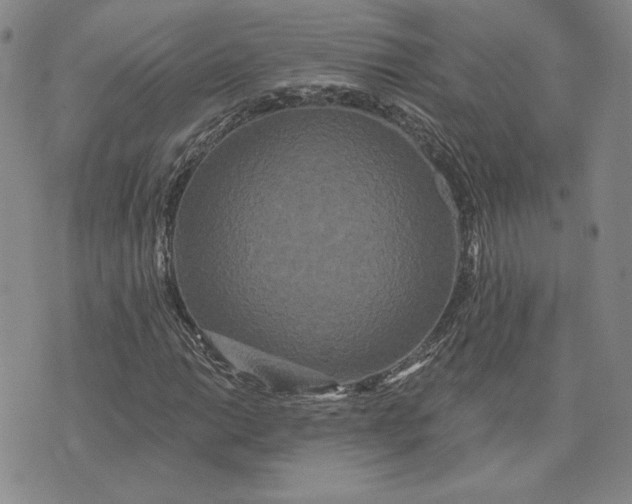 X0000075341014200609251006