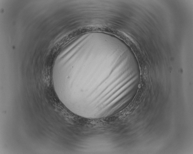 X0000075341015200609251006