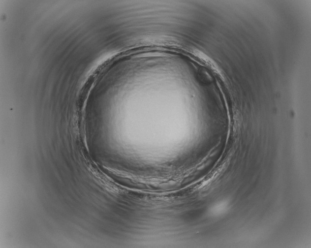 X0000075341019200609251006
