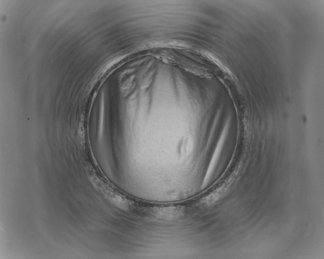 X0000075341025200609251006