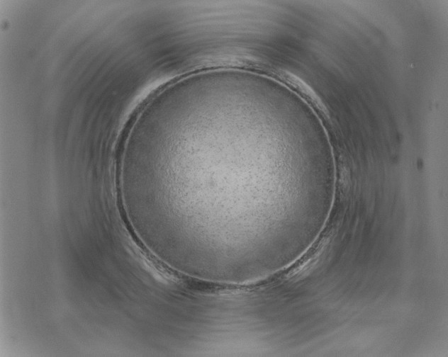 X0000075341035200609251007