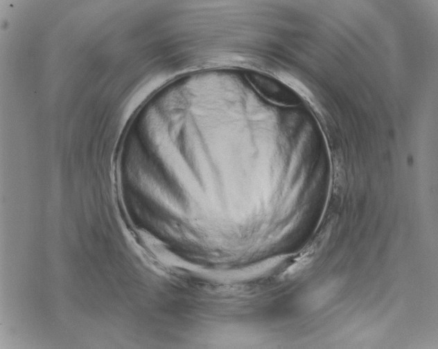 X0000075341047200609251007