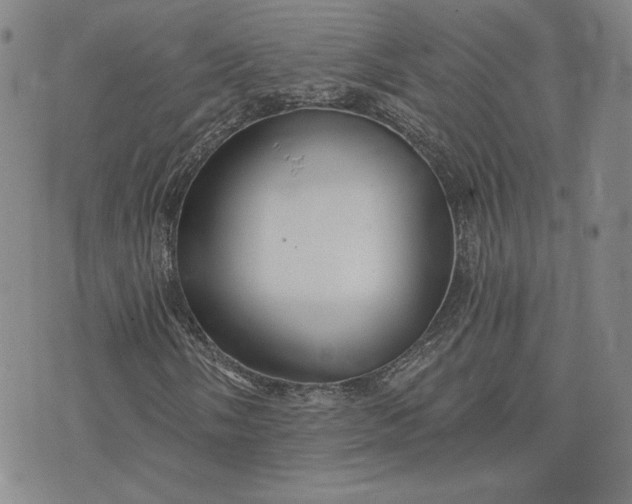 X0000075341058200609251006