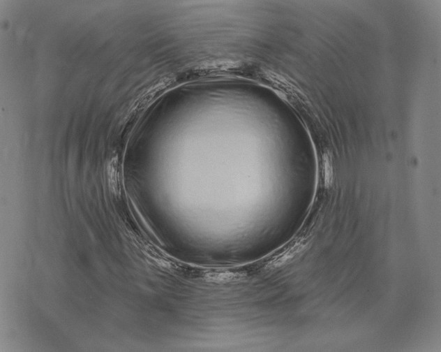 X0000075341059200609251006