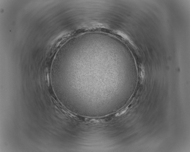 X0000075341063200609251006