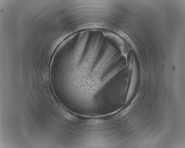 X0000075341081200609251006