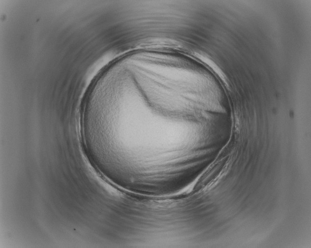 X0000075341083200609251006
