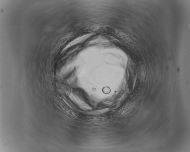 X0000075341105200609251005
