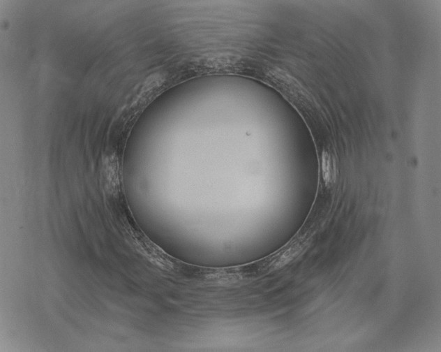 X0000075341107200609251005