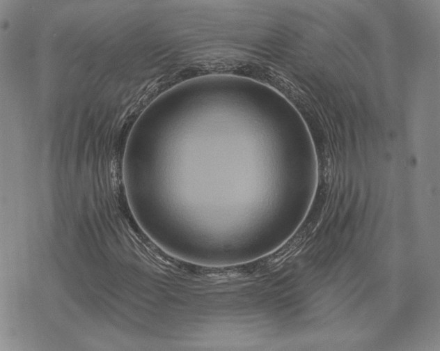 X0000075341108200609251005