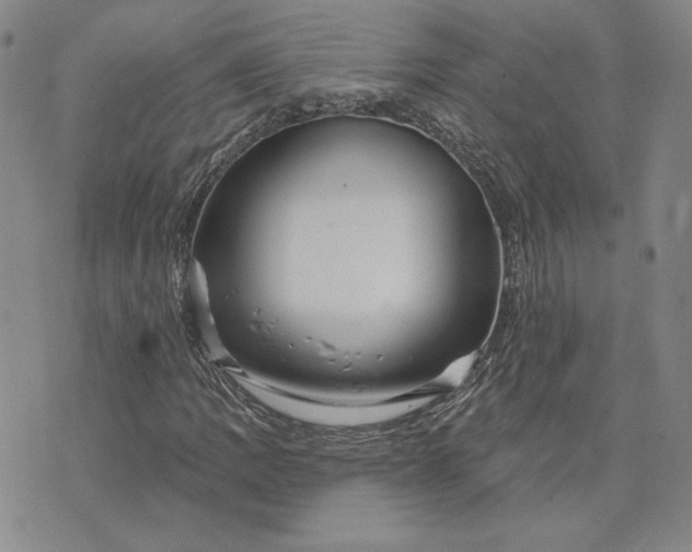 X0000075341109200609251005