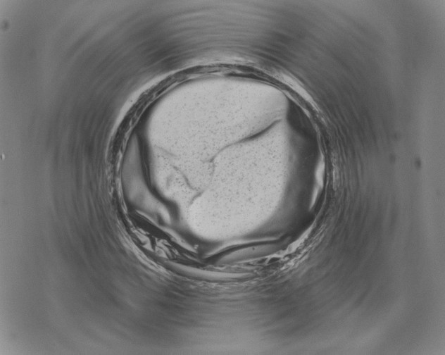 X0000075341116200609251005