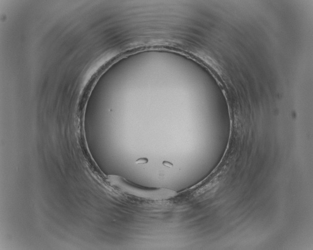 X0000075341119200609251005