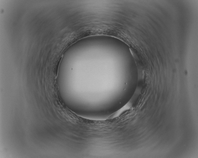 X0000075341153200609251005