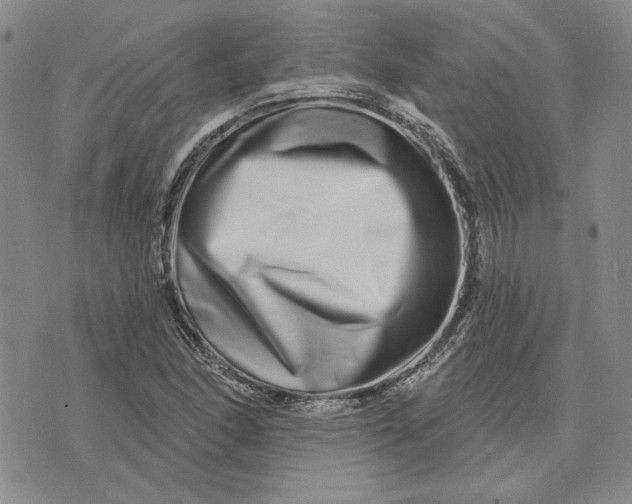 X0000075341166200609251004