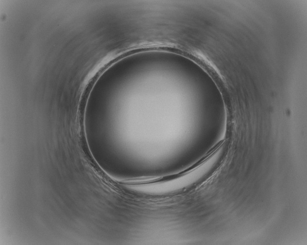X0000075341173200609251004