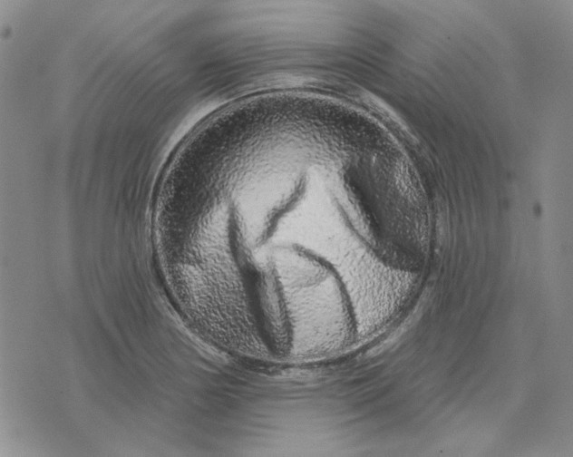X0000075341178200609251004