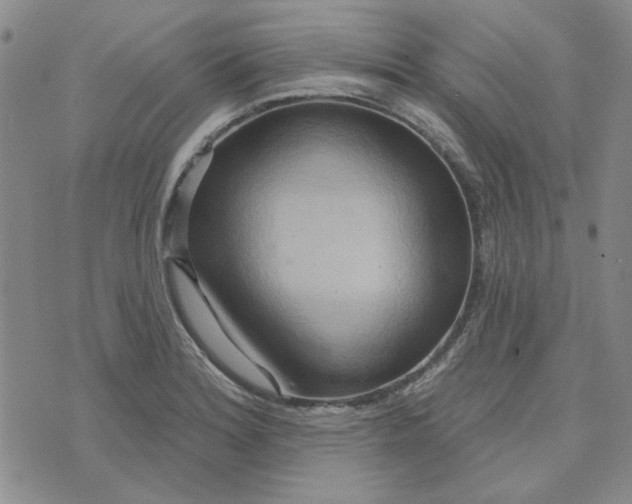 X0000075341180200609251004