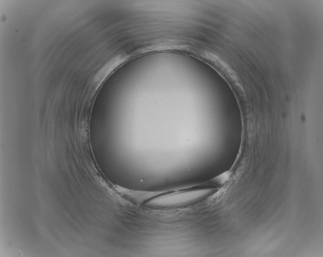 X0000075341185200609251004