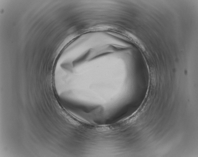 X0000075341186200609251004