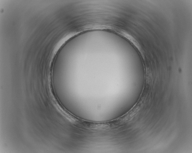 X0000075341187200609251004