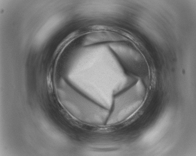 X0000075341198200609251004
