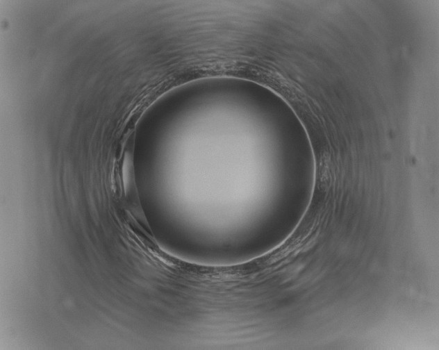 X0000075341202200609251003