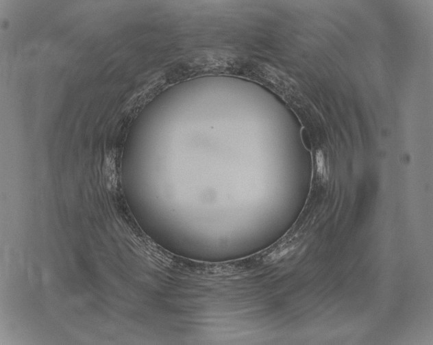 X0000075341203200609251003