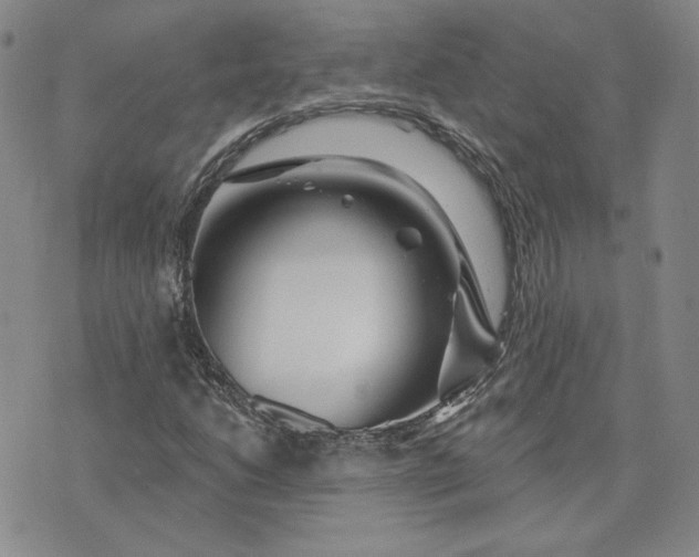 X0000075341206200609251003