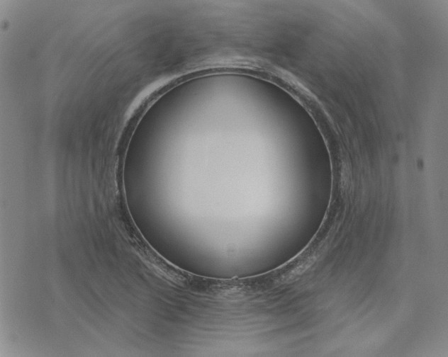 X0000075341222200609251003