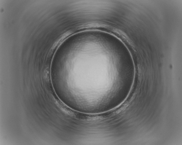 X0000075341225200609251003