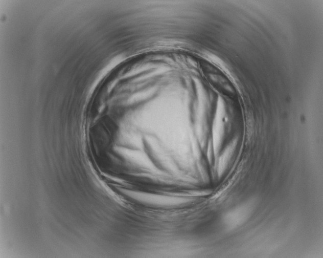 X0000075341235200609251004