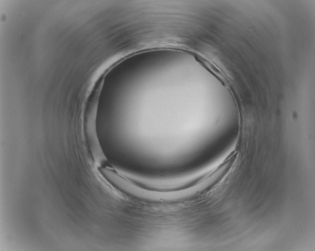 X0000075341246200609251004