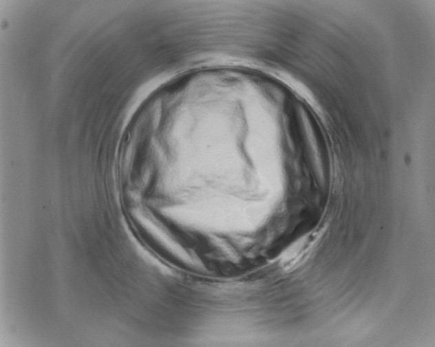 X0000075341247200609251004