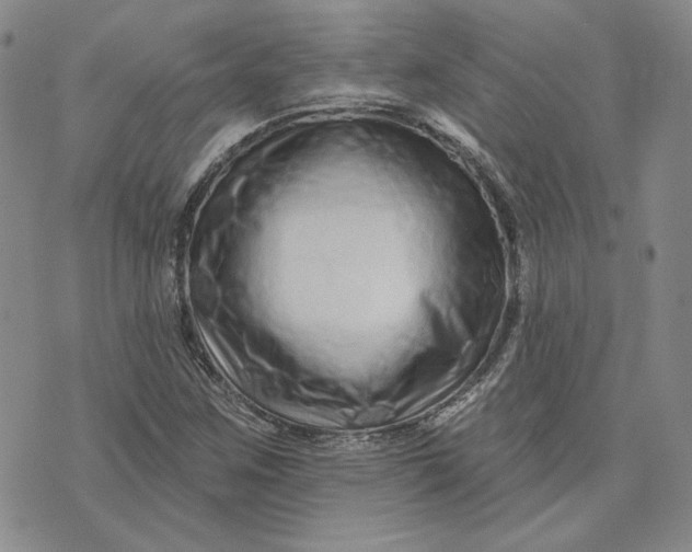 X0000075341259200609251003