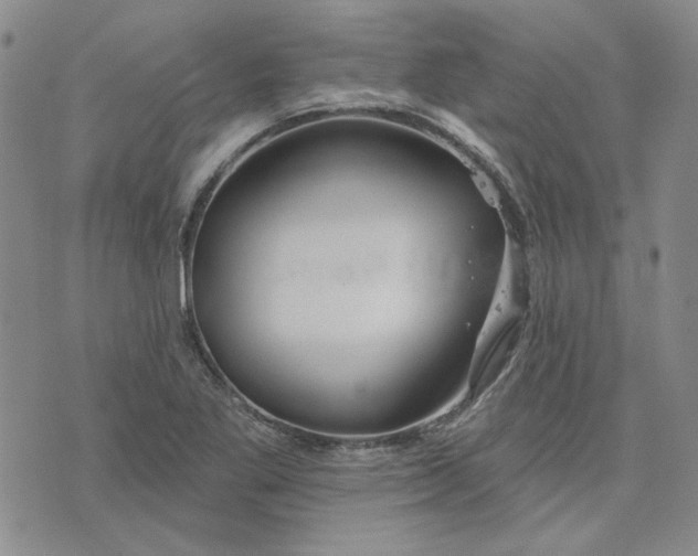 X0000075341269200609251003