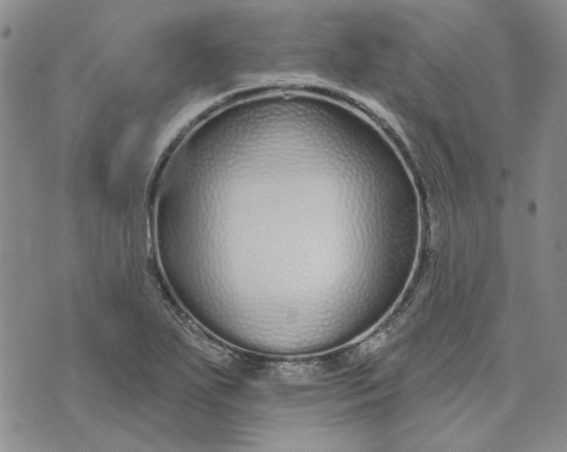 X0000075341271200609251003