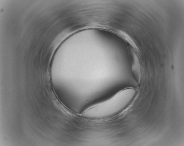 X0000075341292200609251002