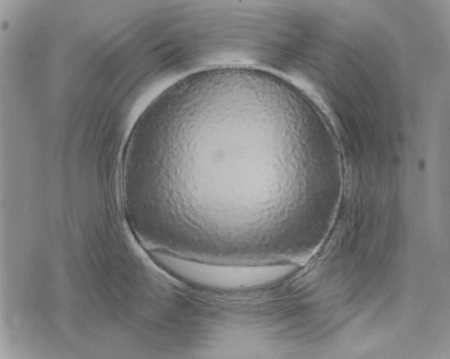 X0000075341295200609251002
