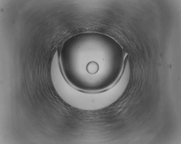 X0000075341298200609251002