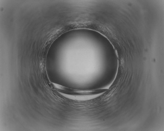 X0000075341300200609251002