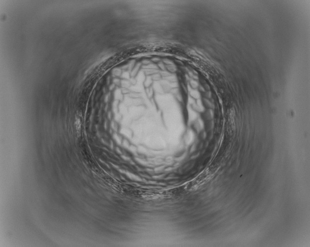X0000075341302200609251002