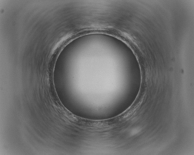 X0000075341307200609251002