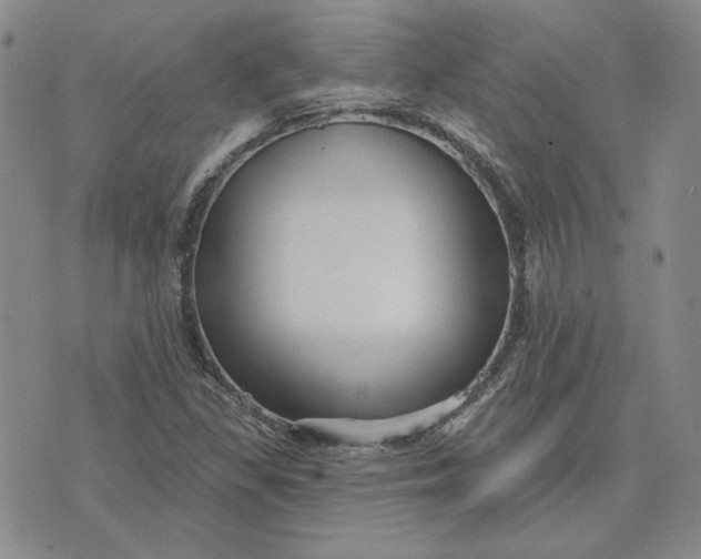 X0000075341309200609251002