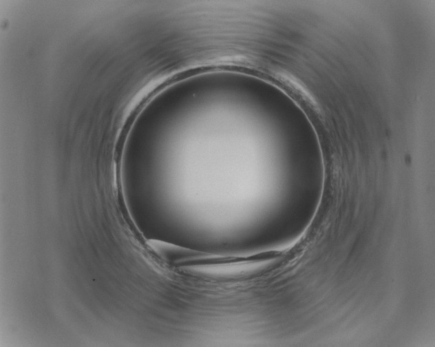 X0000075341324200609251002