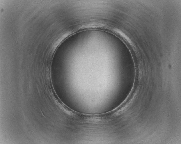 X0000075341329200609251002