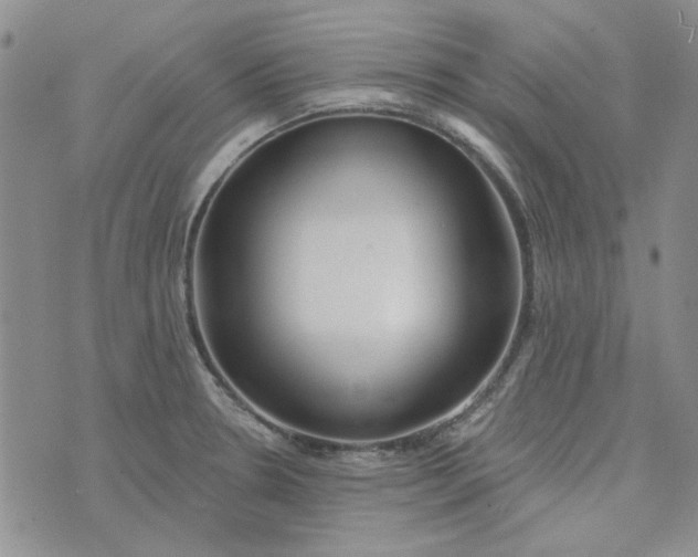 X0000075341330200609251002