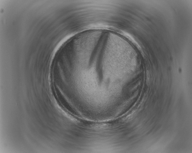 X0000075341331200609251002