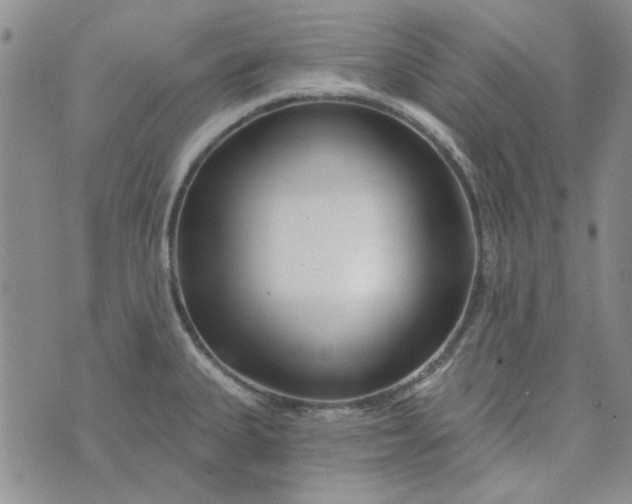 X0000075341335200609251002